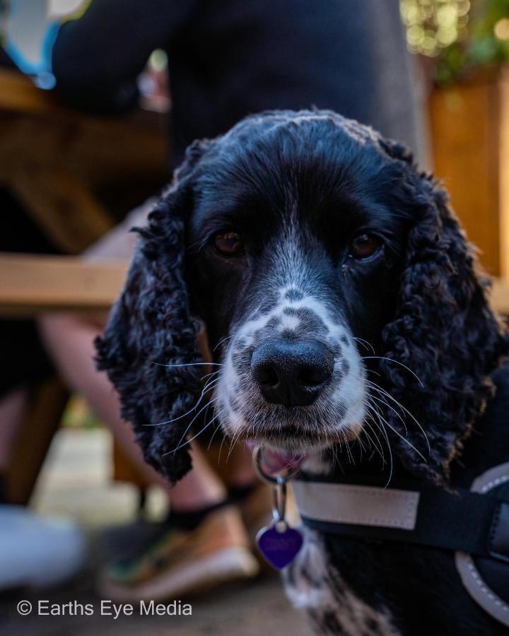 The Bear Inn ランダバリー エクステリア 写真